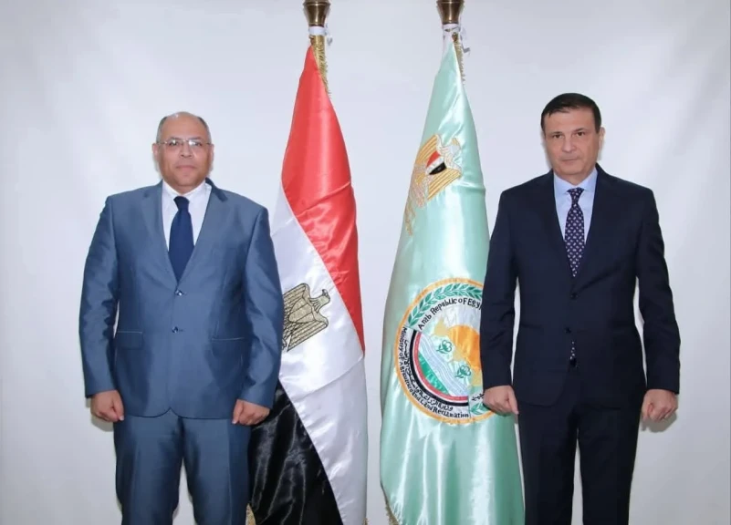 صورة توضيحية 