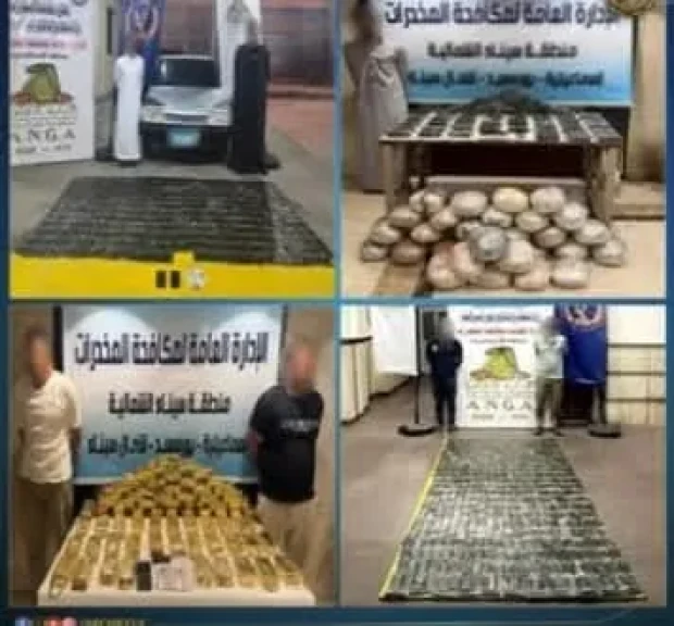 الداخلية: ضبط بؤر إجرامية للإتجار في المواد المخدرة والسلاح بقيمة 77 مليون جنيه