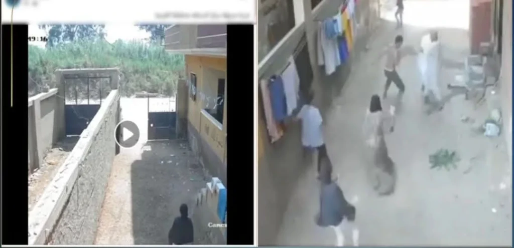 الداخلية:كشف ملابسات مقطع فيديو التعدي علي شخص بالأسلحة البيضاء بالغربية
