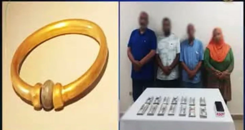 الداخلية:ضبط المتهمين بسرقة أسورة ذهبية تعود للعصر المتأخر من داخل المتحف المصري