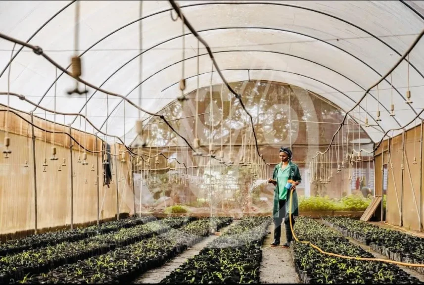 دعوة الدول الإفريقية إلى اغتنام الفرص لتعزيز اقتصاداتها من خلال خططها الوطنية المناخية الجديدة ”NDCs”