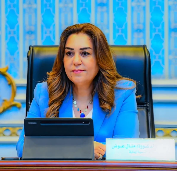 وزيرة التنمية المحلية: بدء سلسلة اجتماعات بين الوزارة ووفد من كوريا الجنوبية بمركز سقارة