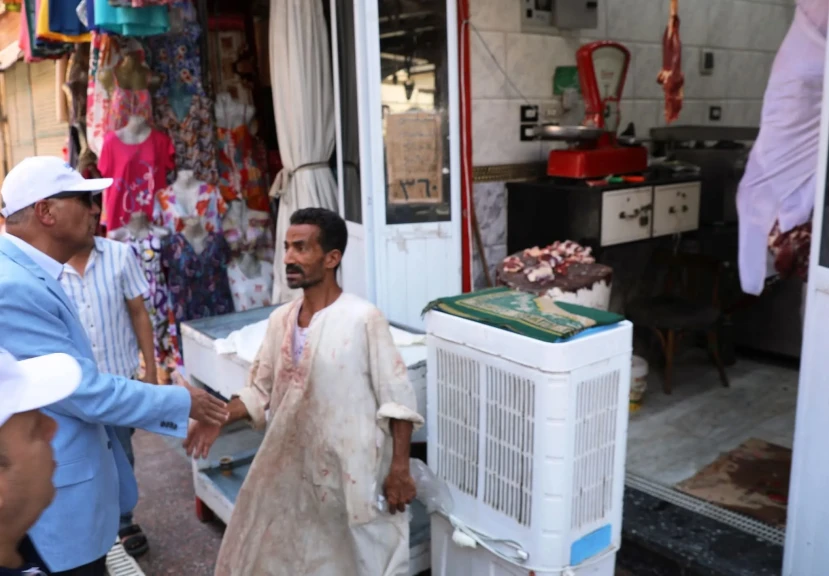 محافظ أسوان يفاجئ محلات الجزارة والصيدليات