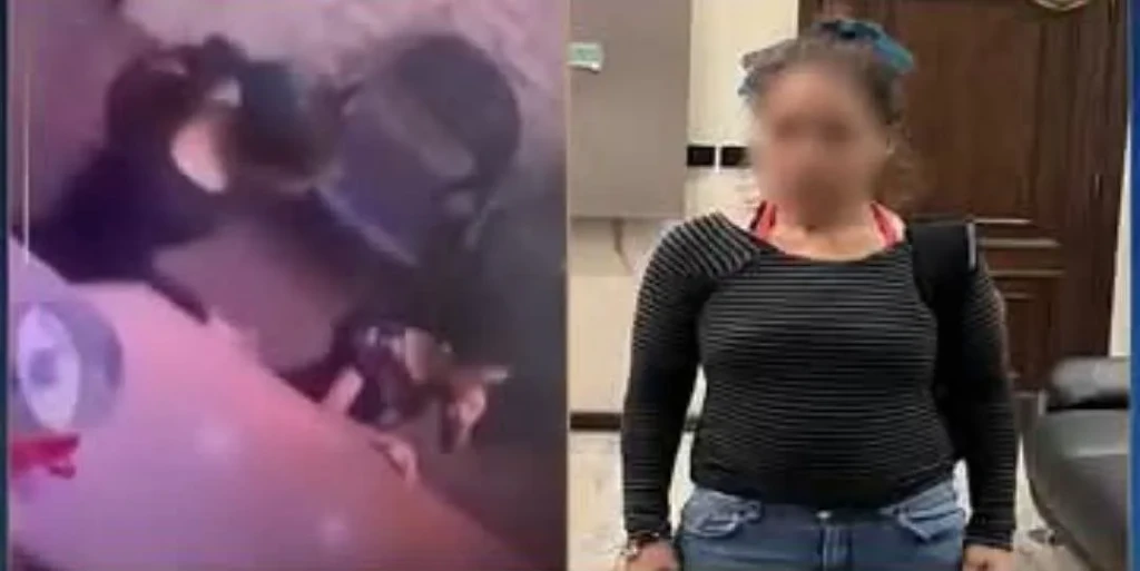 الداخلية:كشف ملابسات مقطع فيديو محاولة إحدى السيدات خطف طفله  بالإسكندرية