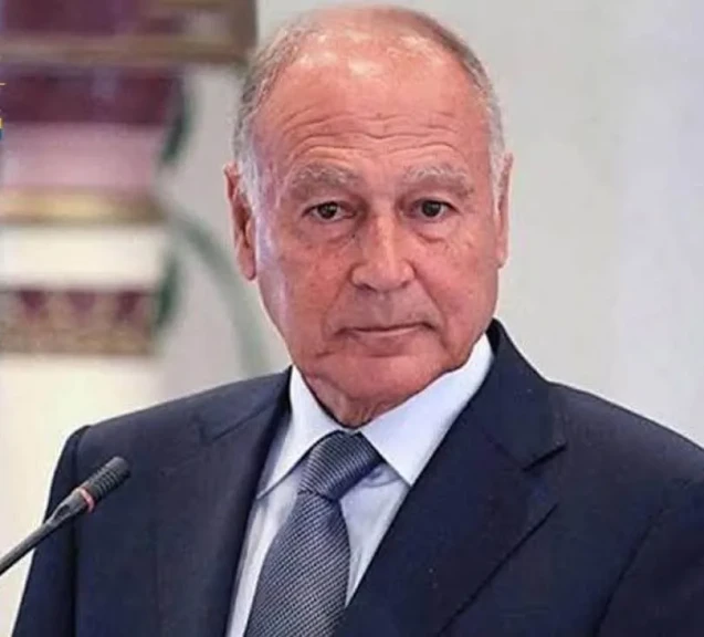 أبو الغيط :مؤتمر حل الدولتين ليس هدفه فقط إنقاذ مشروع الدولة الفلسطينية بل أيضًا إنقاذ إنسانيتنا من شريعة الغاب