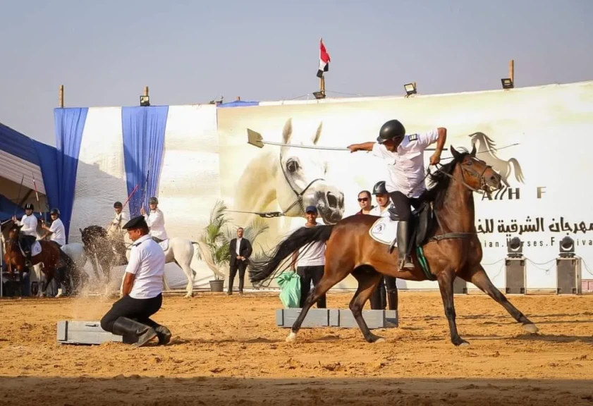 محافظة الشرقية تستعد لعرس الخيول العربية الأصيلة في أكتوبر 2025