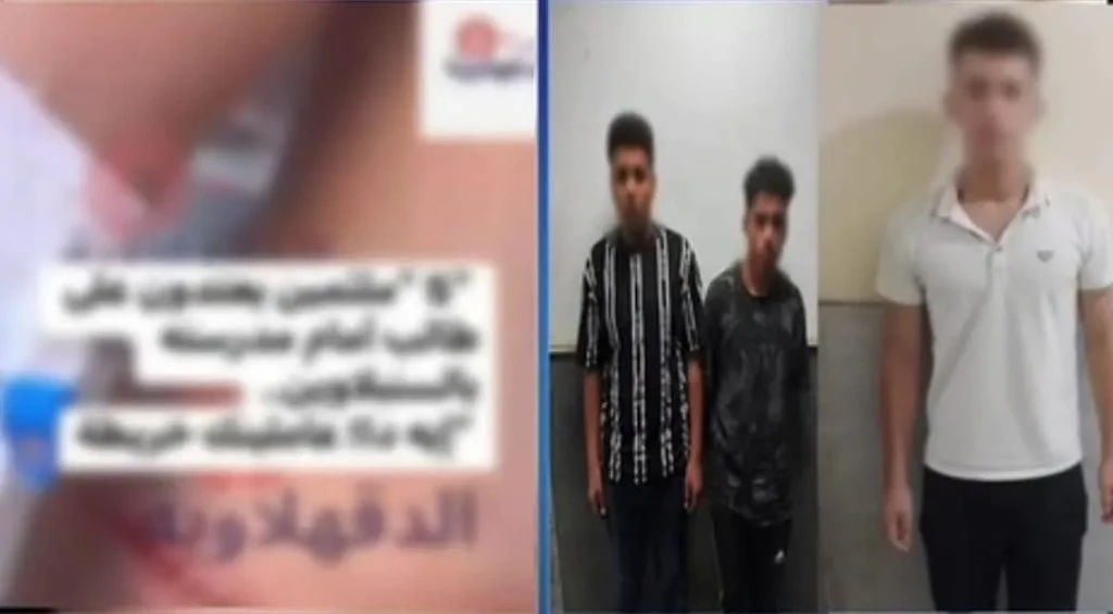 صورة توضيحية 