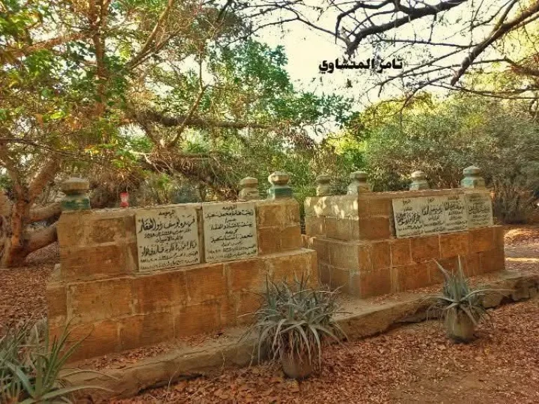 صورة توضيحية 