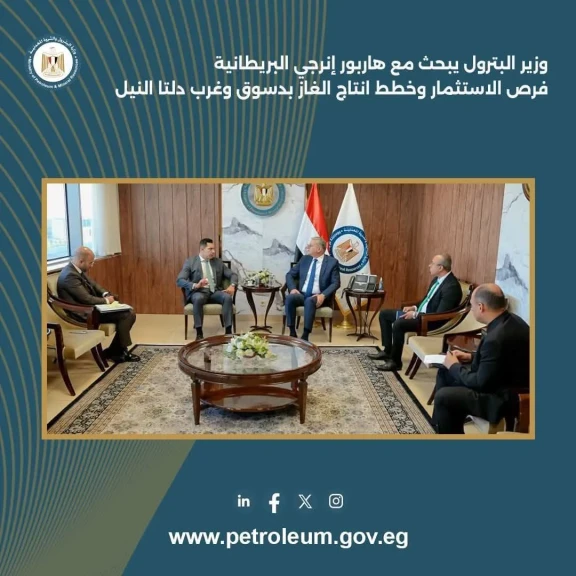 صورة توضيحية 