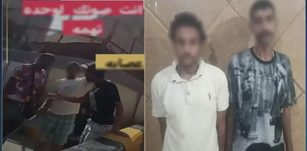 الداخلية:كشف ملابسات مقطع فيديو خطف هاتف محمول من إحدى السيدات بالجيزة