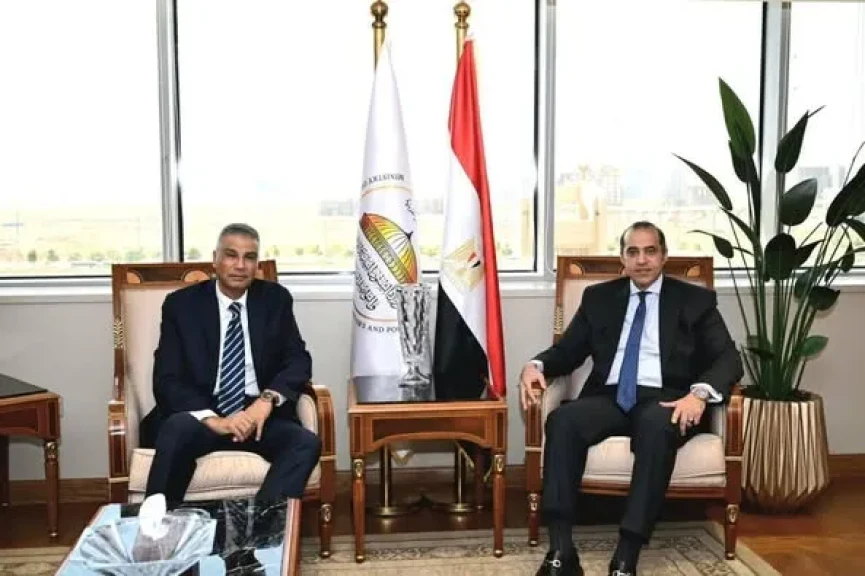 وزير الشؤون النيابية والقانونية يستقبل محافظ أسوان