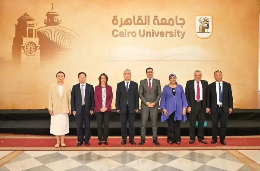 صورة توضيحية 