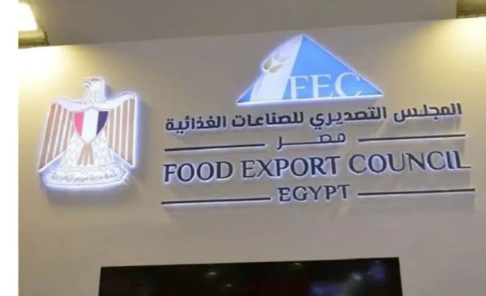 صورة توضيحية 