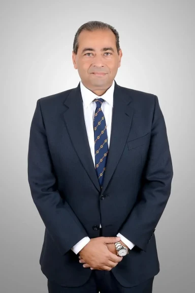 المهندس تامر المهدى