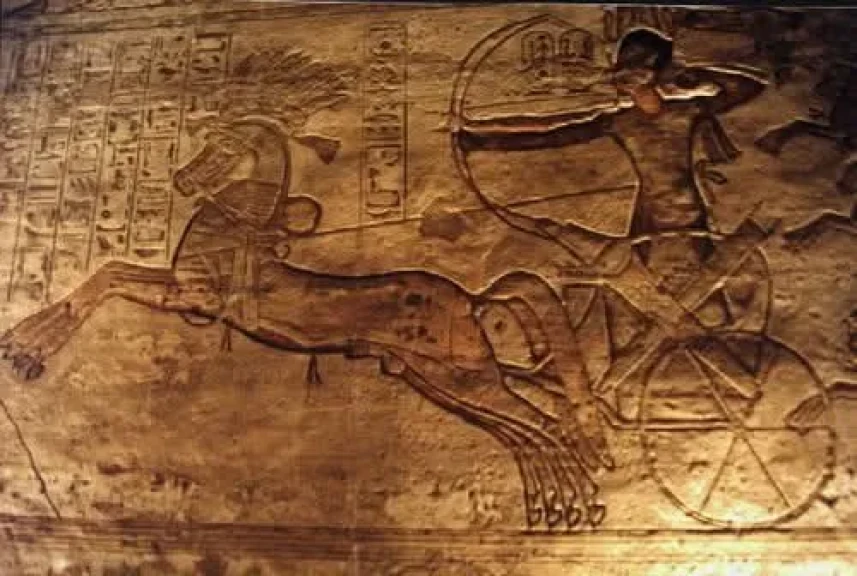 صورة توضيحية 