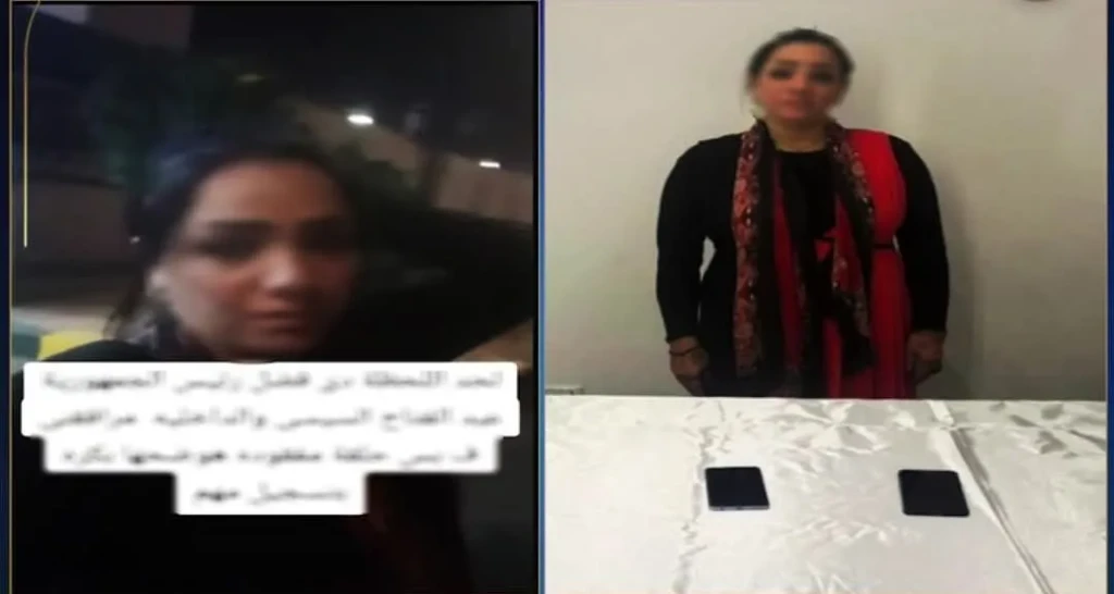 صورة توضيحية 
