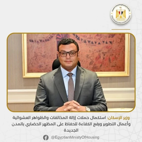 صورة توضيحية 