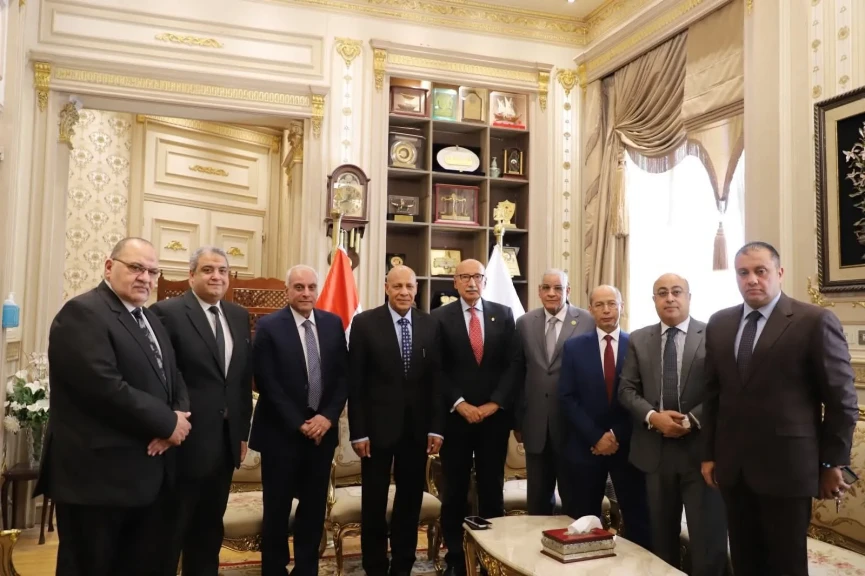 صورة توضيحية 