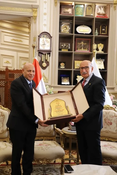 صورة توضيحية 