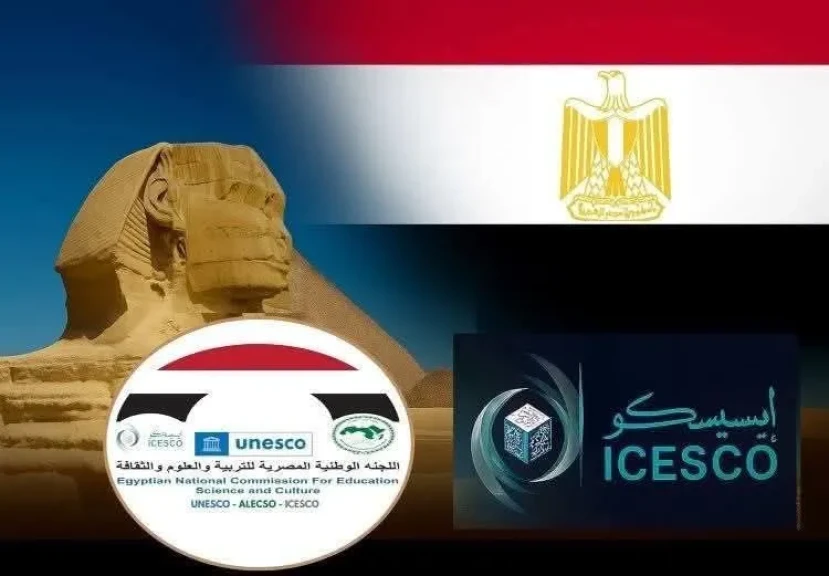 صورة توضيحية 