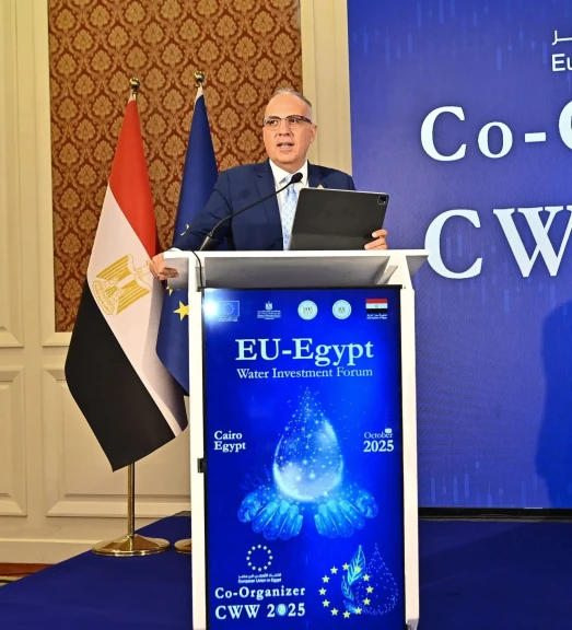 صورة توضيحية 