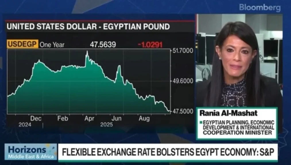 الدكتورة رانيا المشاط :  الرئيس  السيسي كان لديه رؤية حاسمة منذ البداية تقوم على إحلال السلام