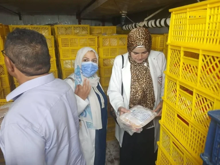 ”الزراعة” تكثف حملات التفتيش والرقابة على أسواق اللحوم