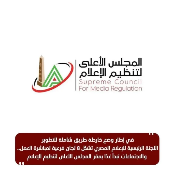 اللجنة الرئيسية للإعلام المصري تشكل 8 لجان فرعية لمباشرة العمل