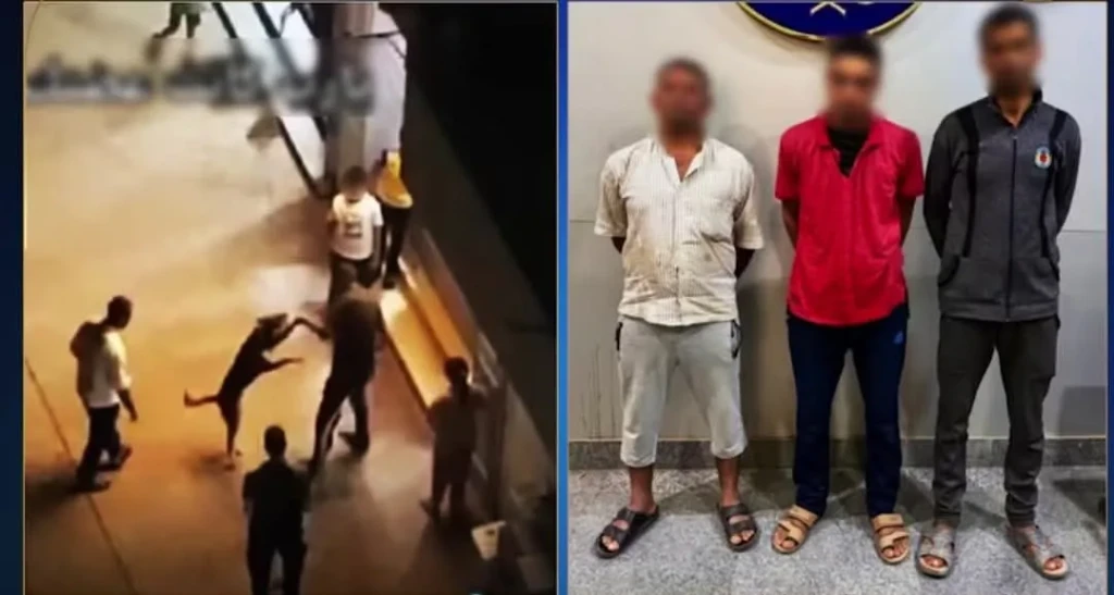 الداخلية:ضبط 3 أشخاص في مقطع فيديو بربط كلب بحبل من عنقه وسحله بالقليوبية.