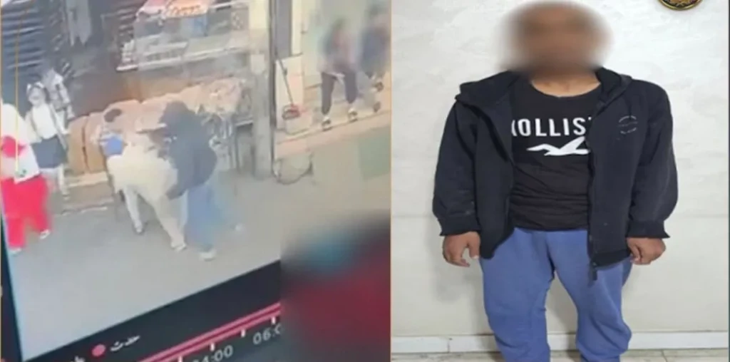 الداخلية:ضبط المتهم بالتعدي علي فتاة بالضرب في مقطع فيديو بالفيوم الداخلية:ضبط المتهم بالتعدي علي فتاة بالضرب في مقطع فيديو بالفيوم
