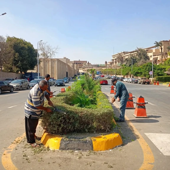 محافظ الجيزة: صيانة شاملة للمسطحات الخضراء والأشجار والمزروعات بمحيط المتحف المصري الكبير محافظ الجيزة: صيانة شاملة للمسطحات الخضراء والأشجار والمزروعات بمحيط المتحف المصري الكبير