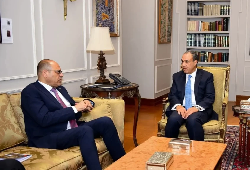 وزيرا الخارجية والعمل يناقشان الهجرة والعمالة المصرية بالخارج وزيرا الخارجية والعمل يناقشان الهجرة والعمالة المصرية بالخارج