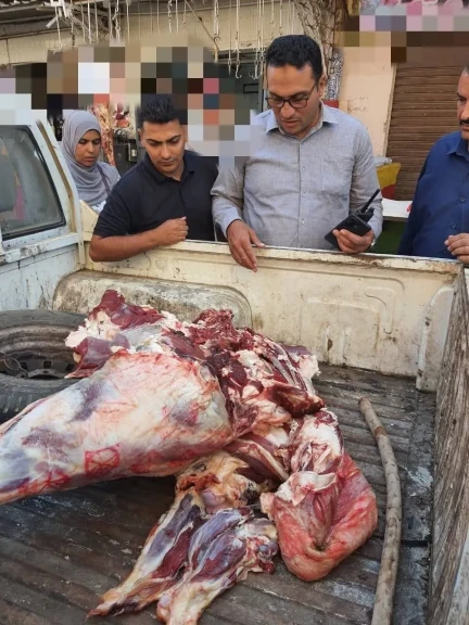 محافظ المنوفية: ضبط كميات كبيرة من اللحوم المذبوحة خارج المجازر بشبين الكوم... محافظ المنوفية: ضبط كميات كبيرة من اللحوم المذبوحة خارج المجازر بشبين الكوم والباجور