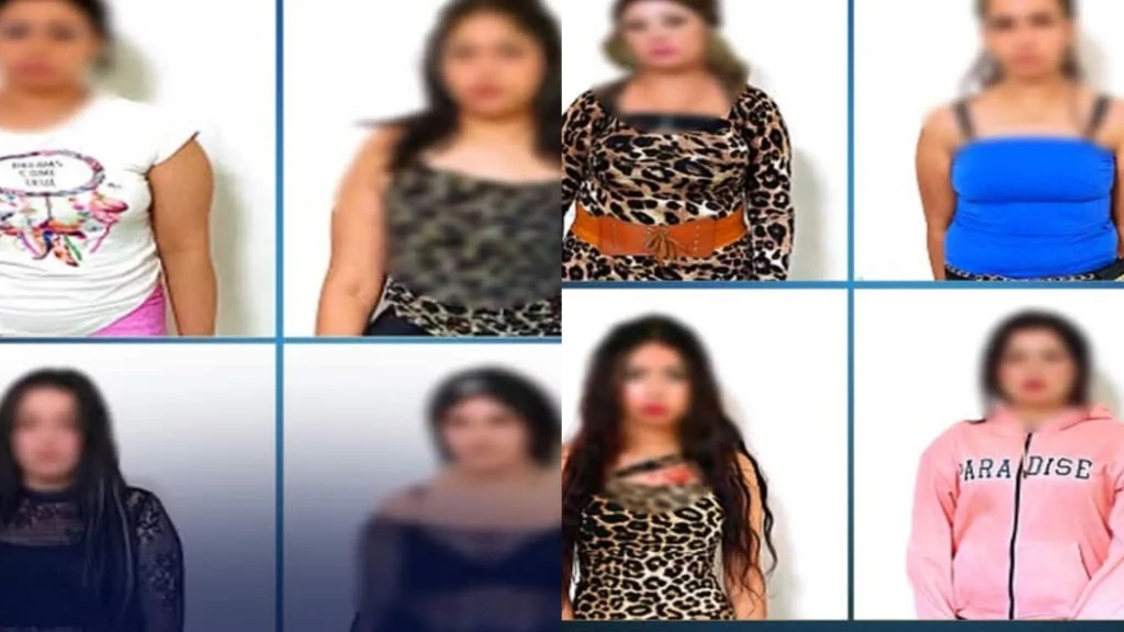 الداخلية:ضبط 8 سيدات للقيام بالأعمال المنافية للاداب العامة الداخلية:ضبط 8 سيدات للقيام بالأعمال المنافية للاداب العامة