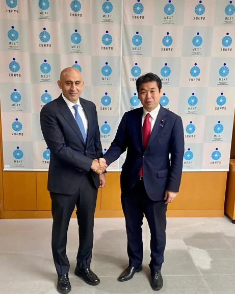 صورة توضيحية