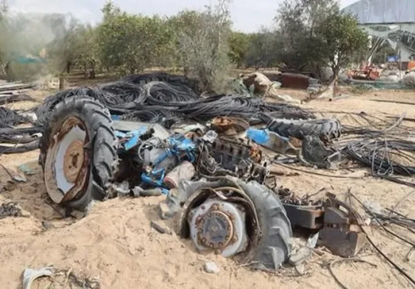 تقرير أممي: تضرر نحو 87% من الأراضي الزراعية في غزة تقرير أممي: تضرر نحو 87% من الأراضي الزراعية في غزة