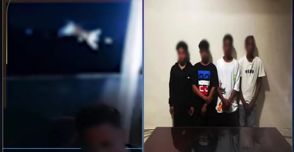 الداخلية:ضبط المتهمين في مقطع فيديو بإلقاء قطة بنهر النيل بالجيزة الداخلية:ضبط المتهمين في مقطع فيديو بإلقاء قطة بنهر النيل بالجيزة