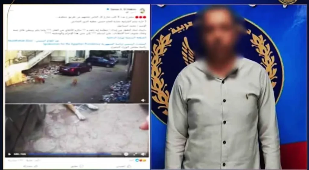 الداخلية:ضبط المتهم بوضع طعام مسمم للكلاب الضالة بالقاهرة الداخلية:ضبط المتهم بوضع طعام مسمم للكلاب الضالة بالقاهرة