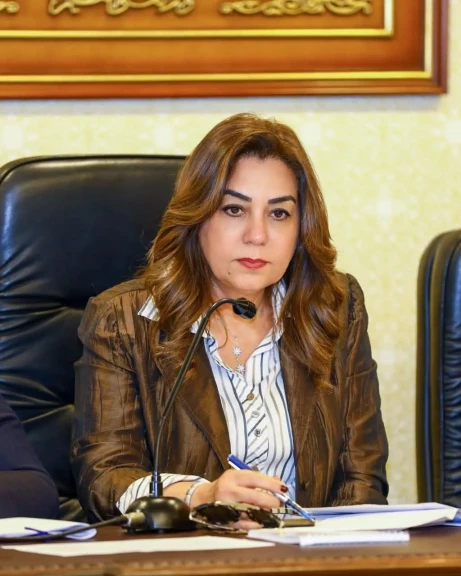 وزيرة التنمية المحلية تستعرض تقريراً حول نتائج المرور الميداني على 4 مراكز تكنولوجية بأحياء حلوان والمعصرة والبساتين والمقطم بالقاهرة