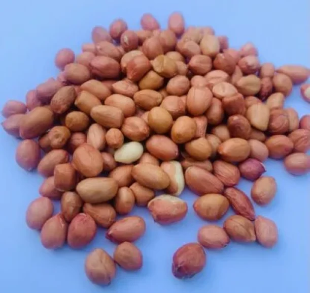 دراسة هولندية : 60 جراما من الفول السوداني يوميا تقوي الذاكرة