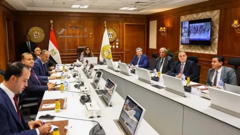 وزيرة التنمية المحلية تتابع عبر الفيديو كونفرانس مع المحافظين سير العملية الانتخابية لمجلس النواب في اليوم الثاني بمحافظات المرحلة الأولى