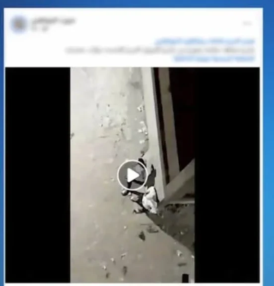 الداخلية:ضبط المتهمين في مقطع فيديو بترويج المواد المخدرة بالقليوبية