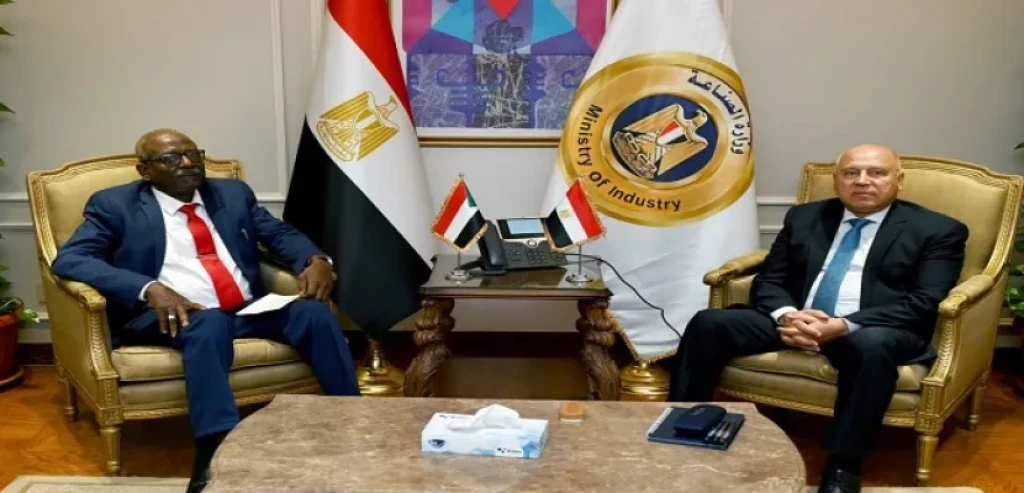 مصر والسودان يبحثان سبل تعزيز التعاون المشترك في مجالات النقل المختلفة