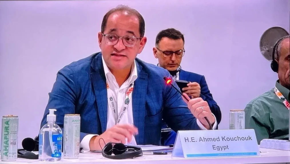 وزير المالية : نتطلع لدور أكبر للمؤسسات الدولية في التمويل الأخضر الميسر لدفع التنمية المستدامة بالدول النامية