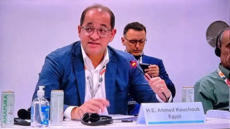 وزير المالية : نتطلع لدور أكبر للمؤسسات الدولية في التمويل الأخضر الميسر لدفع التنمية المستدامة بالدول النامية