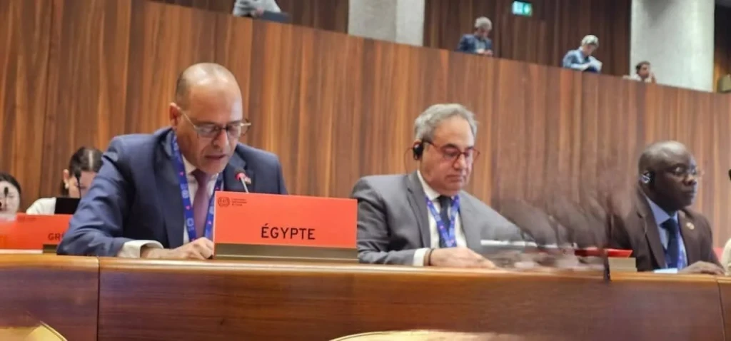 مصر تؤكد دعمها الكامل للحقوق المشروعة للشعب الفلسطيني في اجتماعات منظمة العمل الدولية