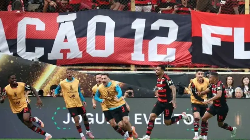 فلامنغو يهزم بالميراس ويتوج بكأس ليبرتادوريس