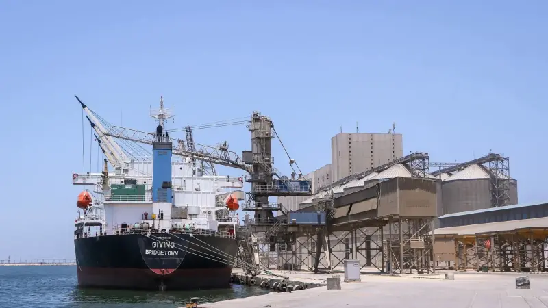 تداول 24 سفينة للحاويات والبضائع العامة بميناء دمياط