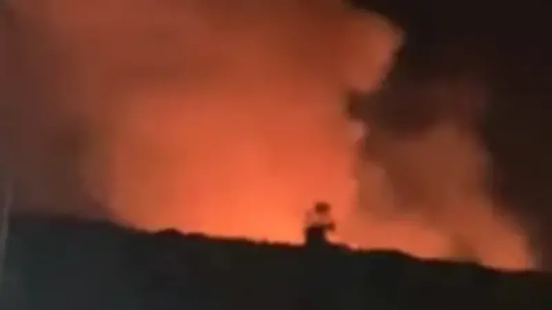 عاجل .. نشوب حريق فى زراعات هيش تابعة للغابة الشجرية شمال الغردقة