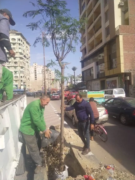 محافظ الدقهلية: استمرار زراعة الأشجار في المرحلة الرابعة من مبادرة ”100 مليون شجرة”